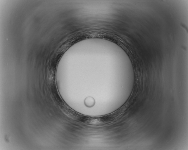 X0000101670507200807101052