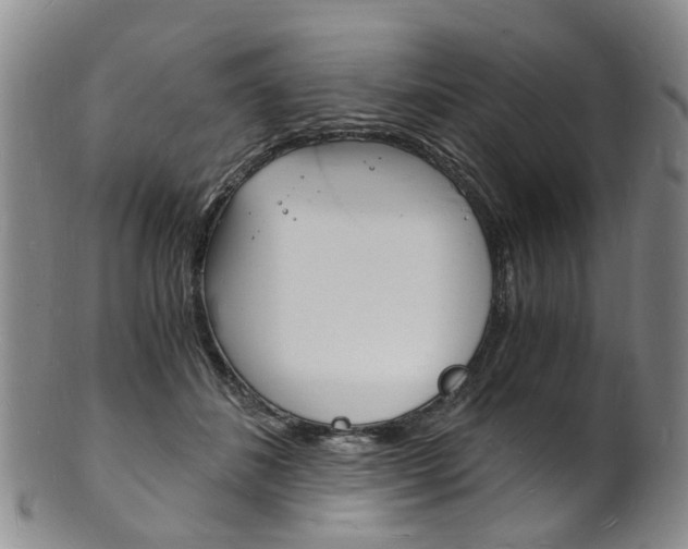 X0000101670508200807101052
