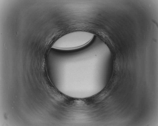 X0000101670509200807101052
