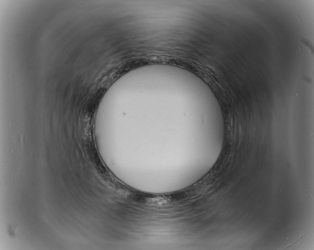 X0000101670511200807101052