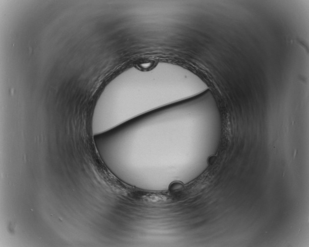 X0000101670512200807101052