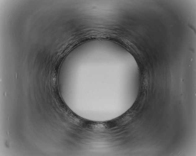X0000101670513200807101052