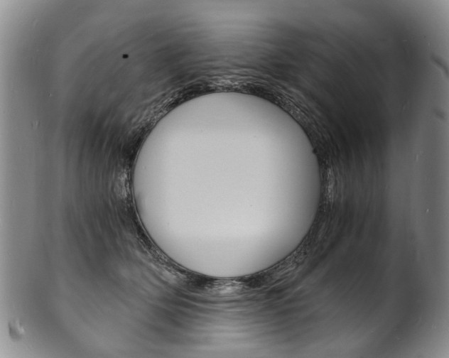 X0000101670514200807101052