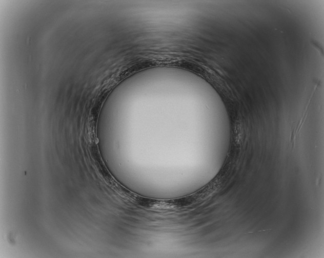 X0000101670515200807101052
