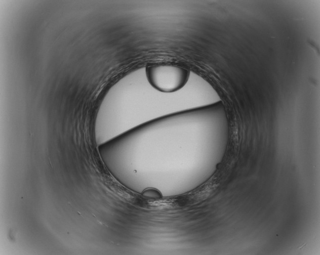X0000101670516200807101052