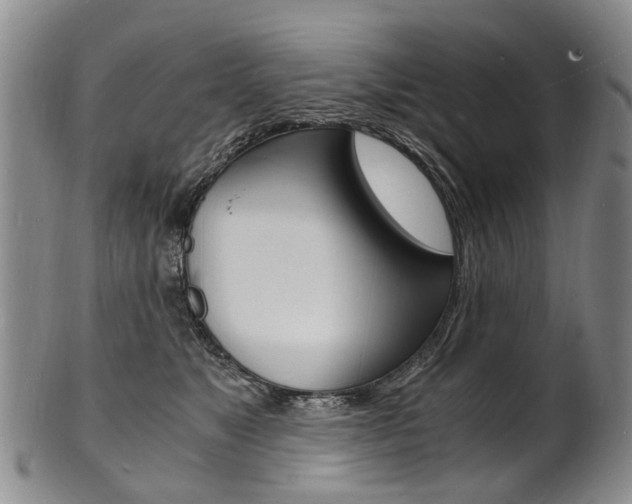 X0000101670517200807101052