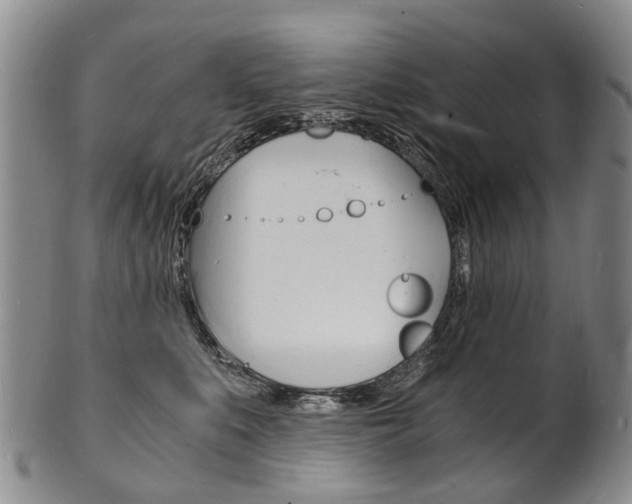 X0000101670519200807101052