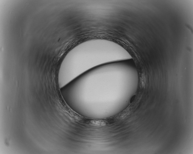 X0000101670520200807101052