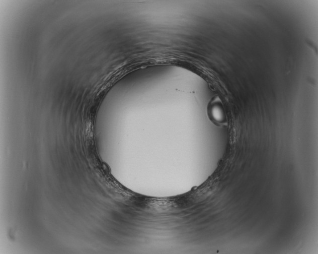 X0000101670521200807101052