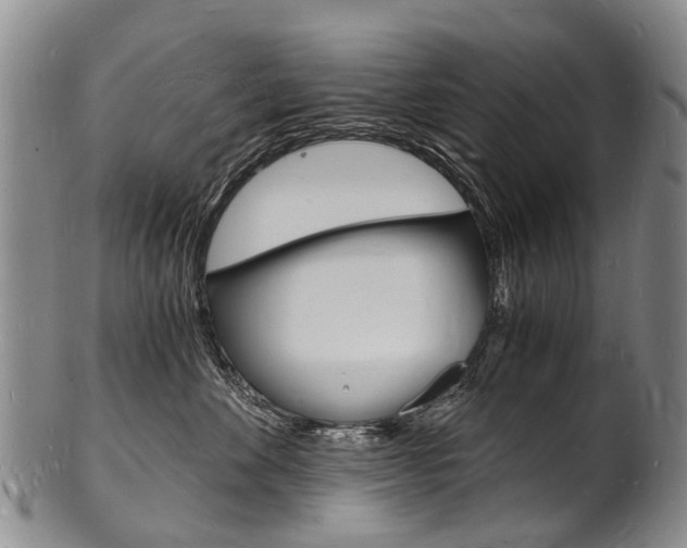 X0000101670524200807101052