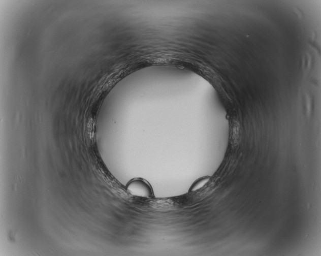 X0000101670525200807101052