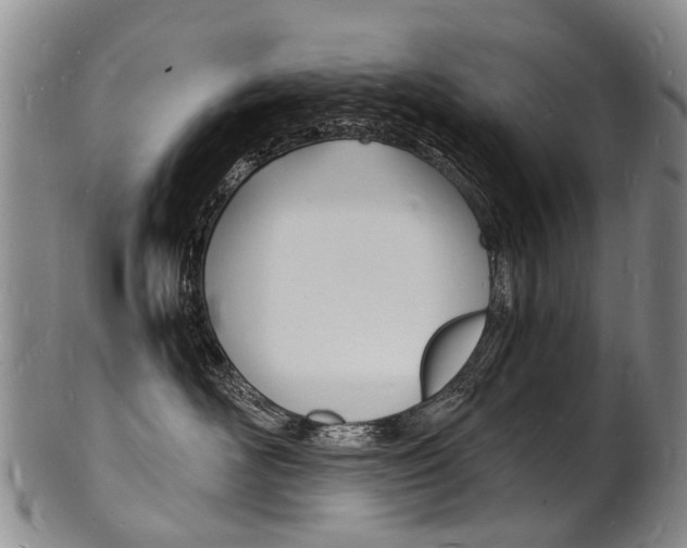 X0000101670526200807101052