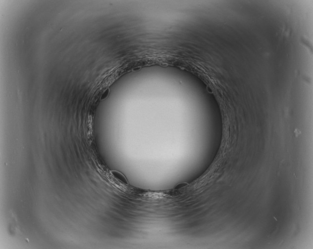 X0000101670528200807101052