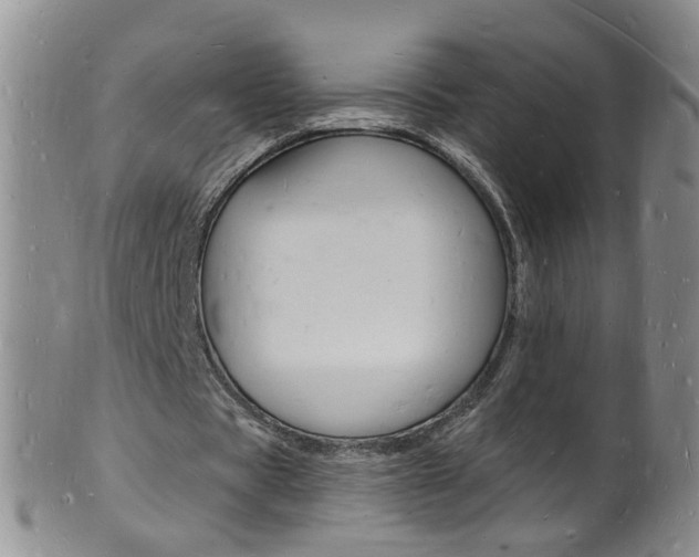 X0000101670529200807101051