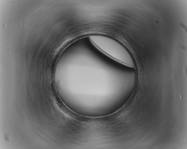 X0000101670530200807101051