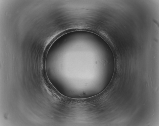 X0000101670532200807101051
