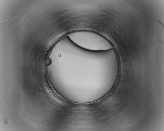 X0000101670533200807101051