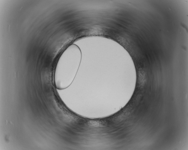 X0000101670534200807101051