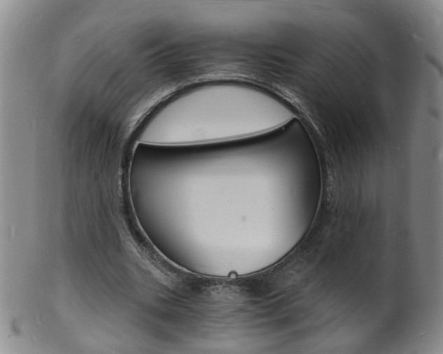 X0000101670535200807101051