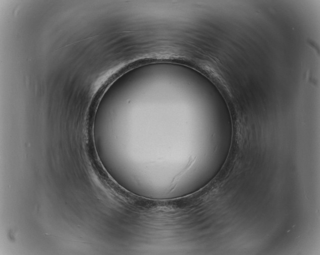 X0000101670536200807101051