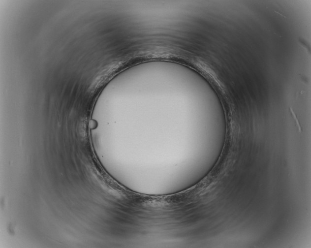 X0000101670537200807101051