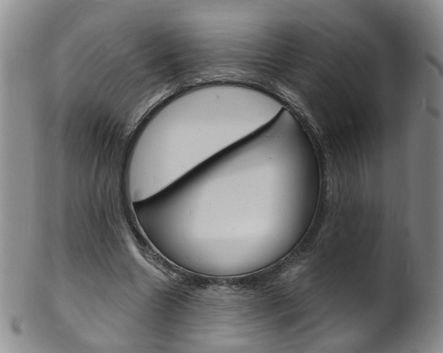 X0000101670538200807101051
