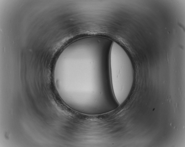 X0000101670540200807101051