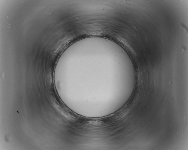X0000101670541200807101051