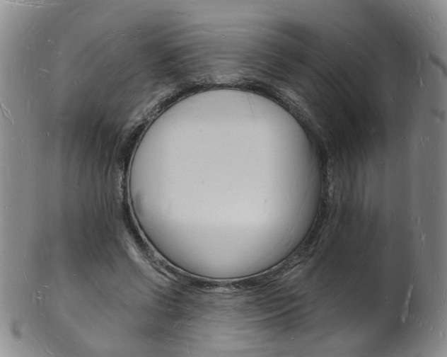 X0000101670542200807101051