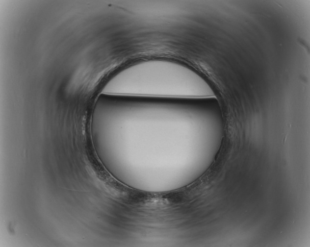 X0000101670543200807101051