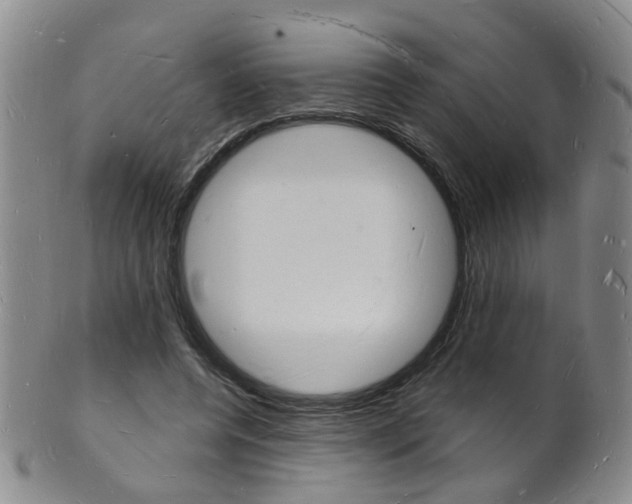 X0000101670544200807101051
