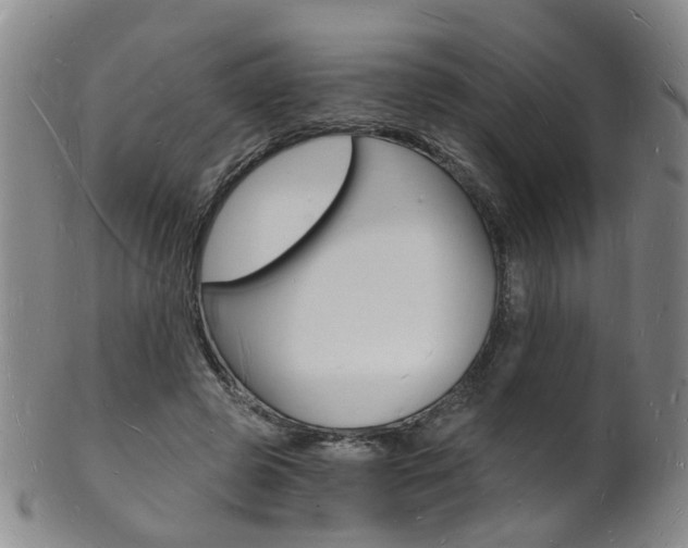 X0000101670545200807101051