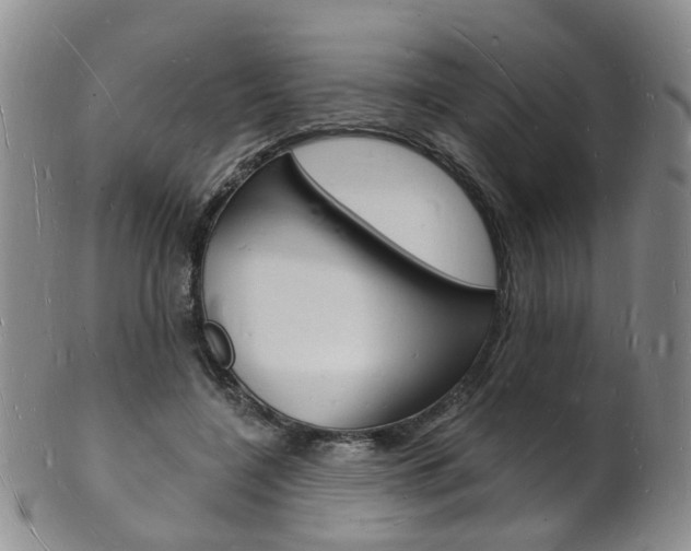X0000101670548200807101051