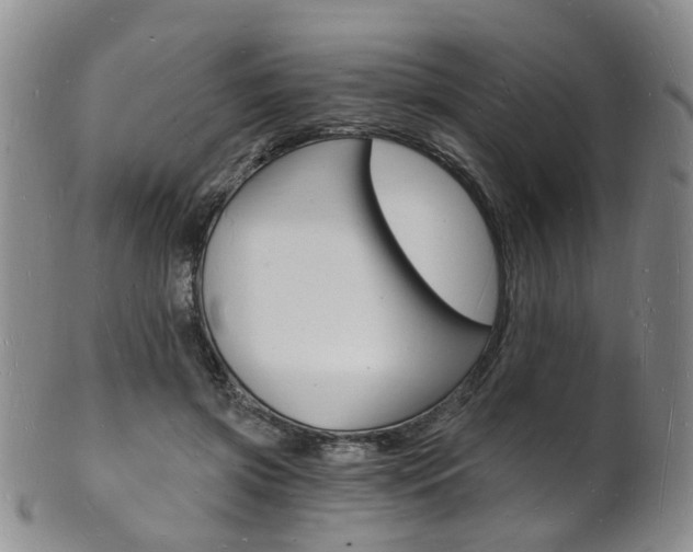 X0000101670549200807101051