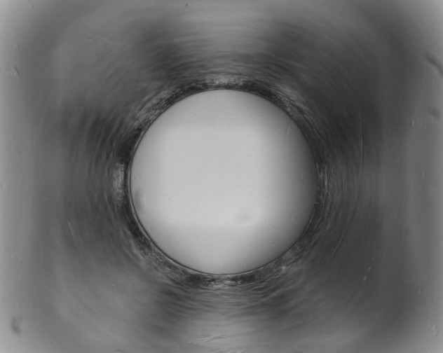X0000101670550200807101051