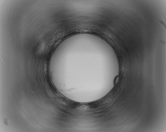 X0000101670551200807101051