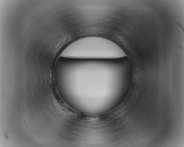 X0000101670552200807101051