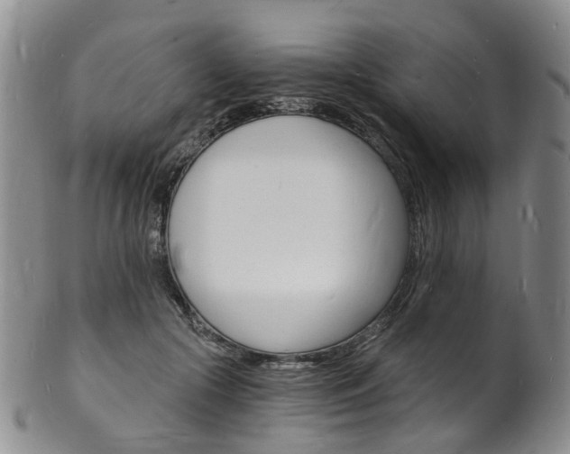 X0000101670553200807101051