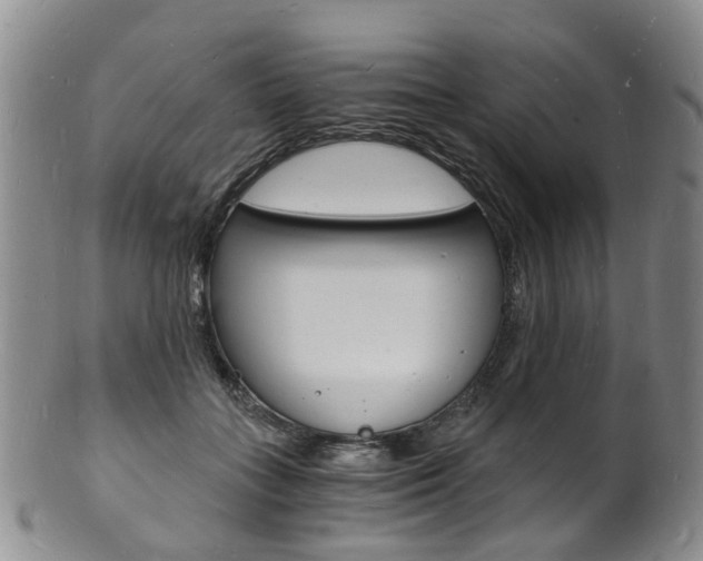 X0000101670555200807101051