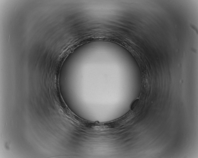 X0000101670556200807101052
