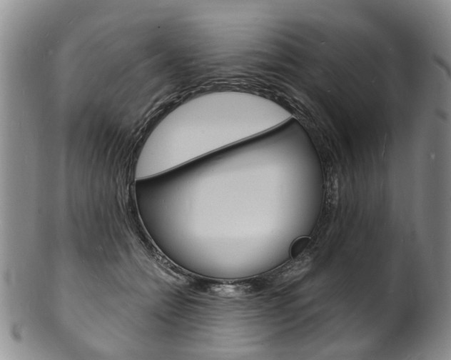 X0000101670558200807101052