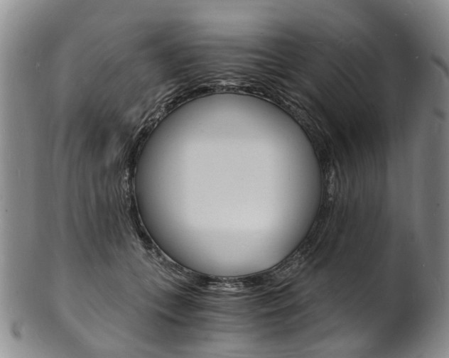 X0000101670559200807101052