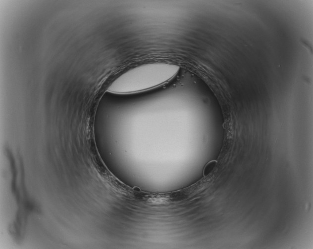 X0000101670560200807101052