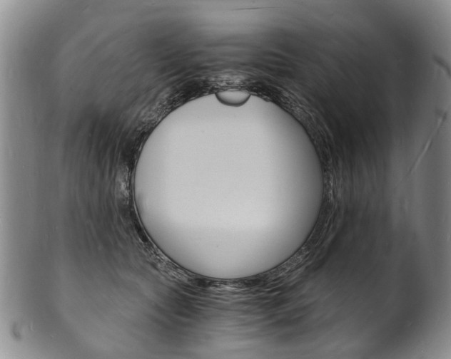 X0000101670561200807101052