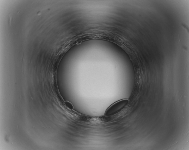 X0000101670562200807101052