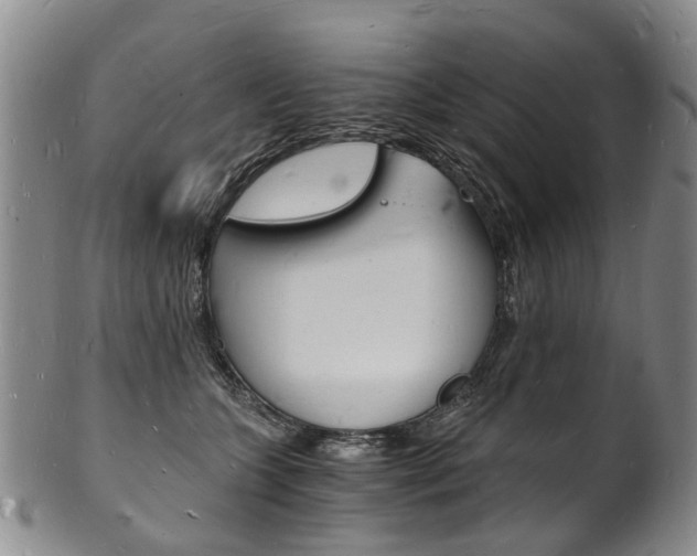 X0000101670563200807101052