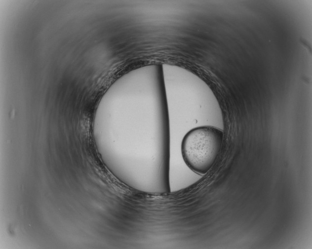 X0000101670565200807101052