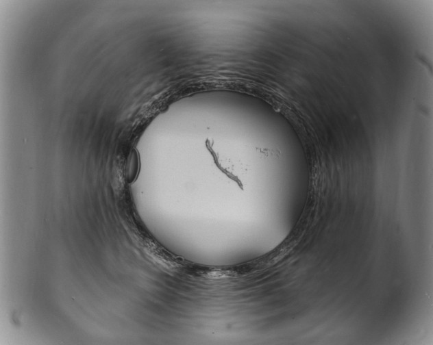 X0000101670566200807101052
