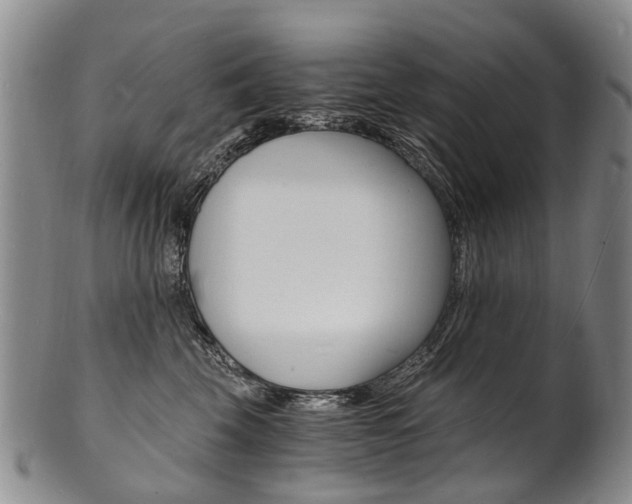 X0000101670569200807101052