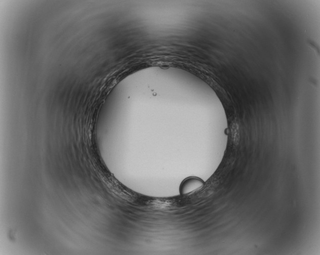 X0000101670570200807101052